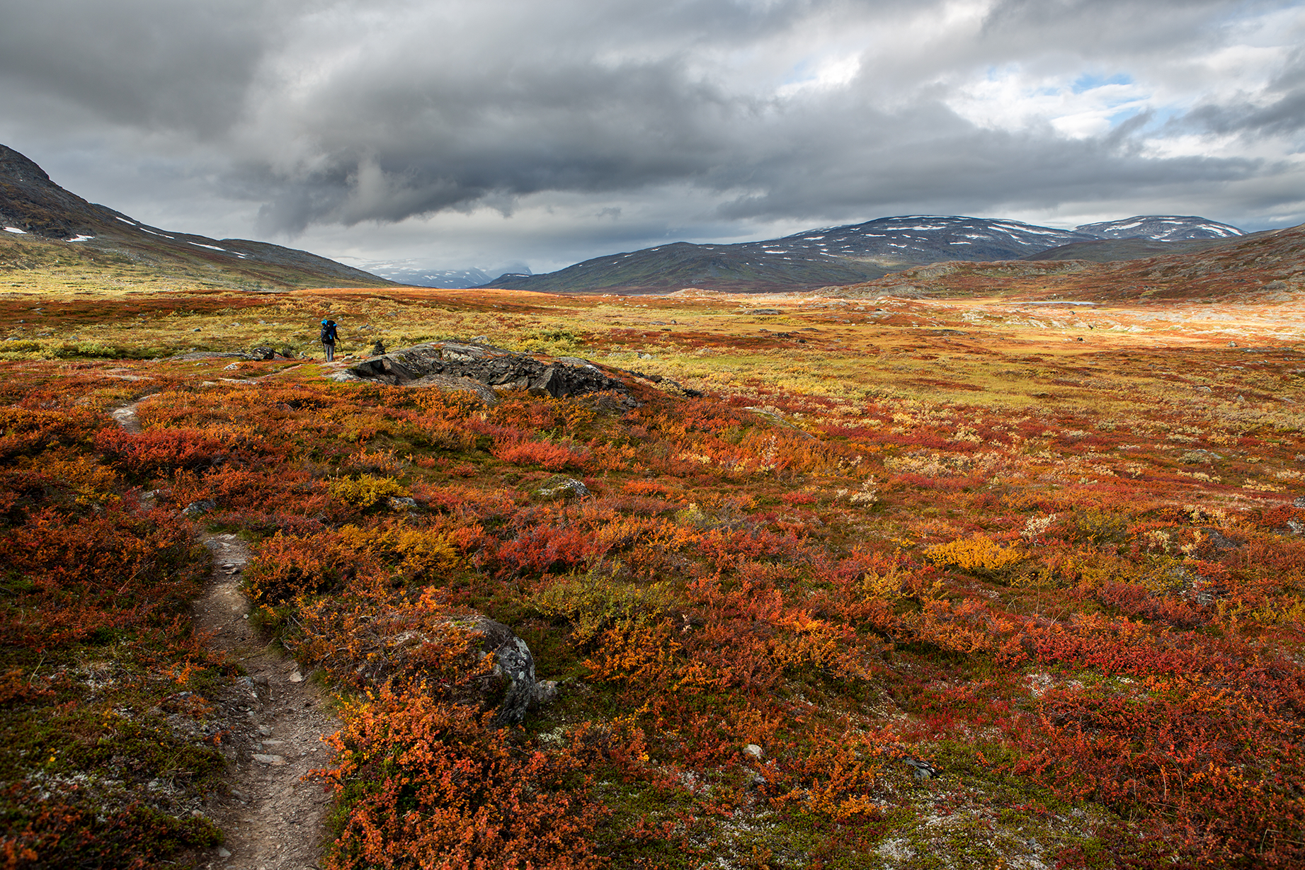En fjällvandrare går efter vandringsled med höstfärger.